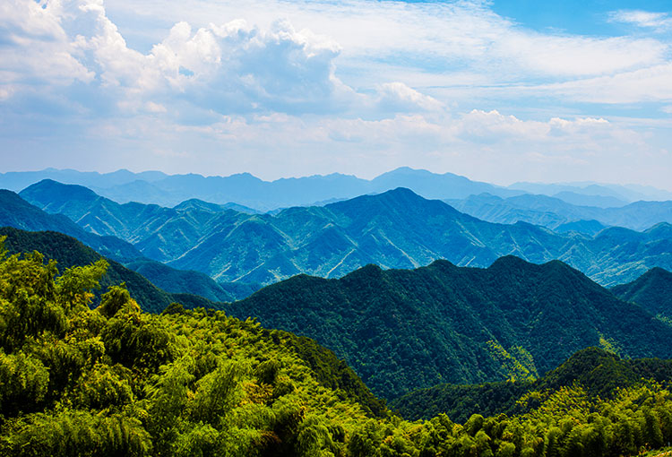 bifa·必发(中国集团)唯一官方网站